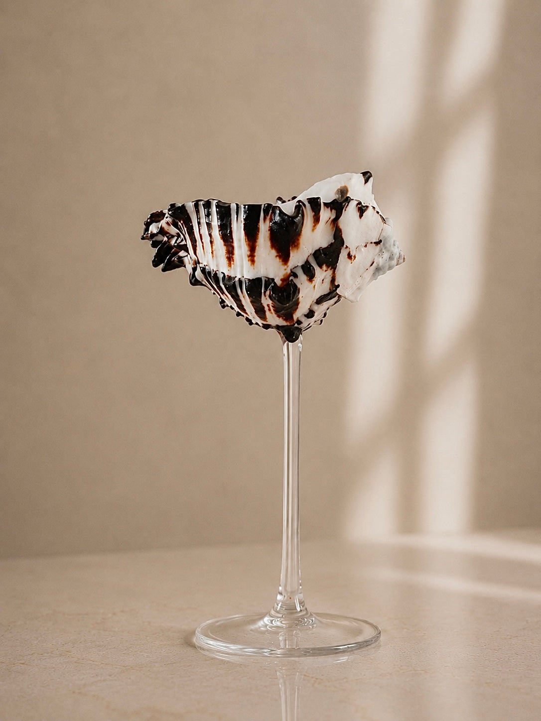 Coralia Glas