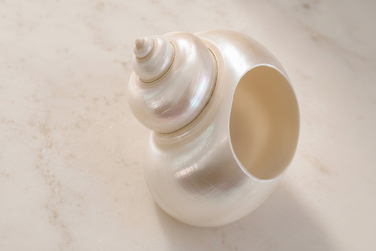 Coralia Napkin Ring