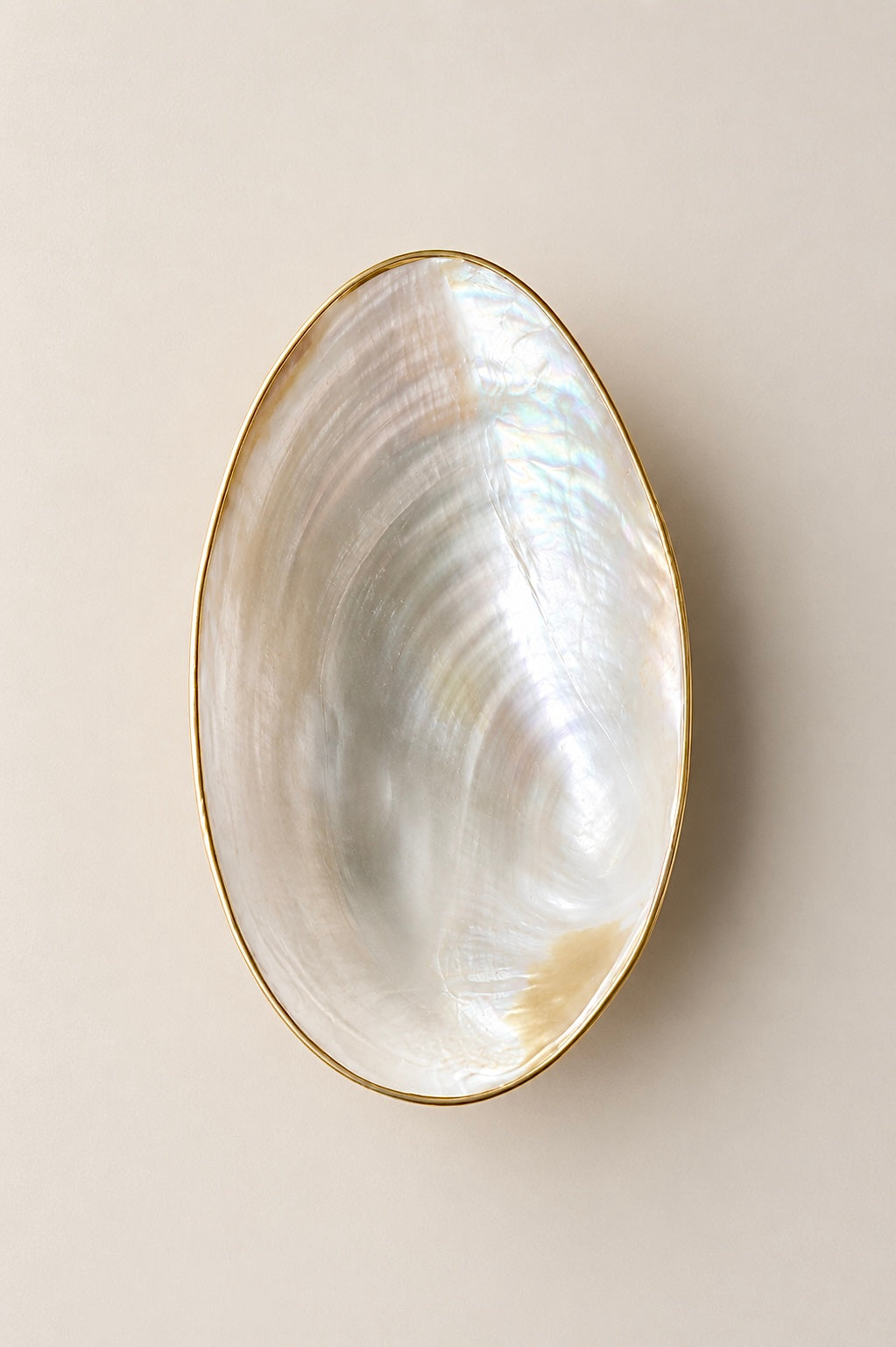 Coralia Decorative Tray