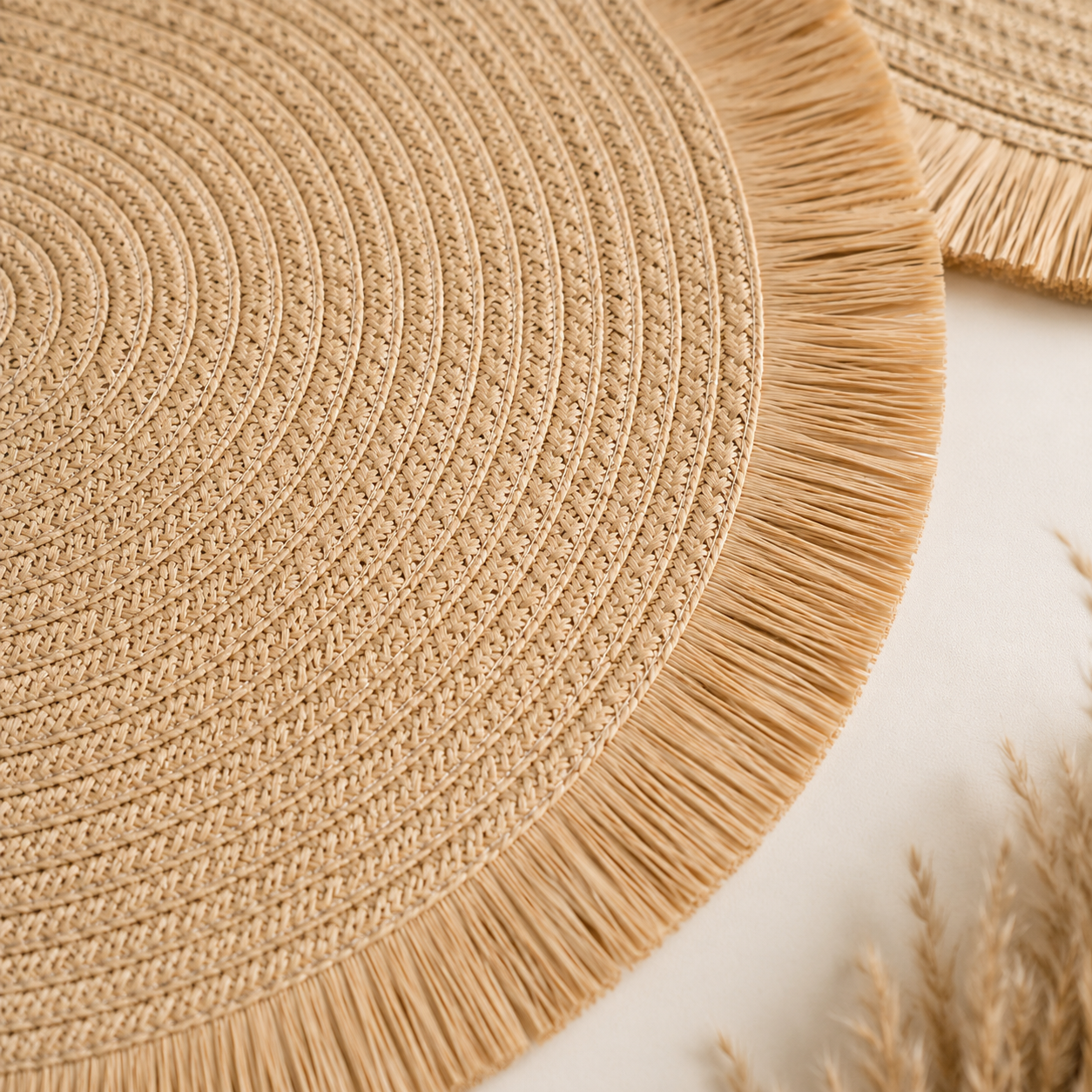 Coralia Handwoven Placemats- A Set of 4 Pieces
